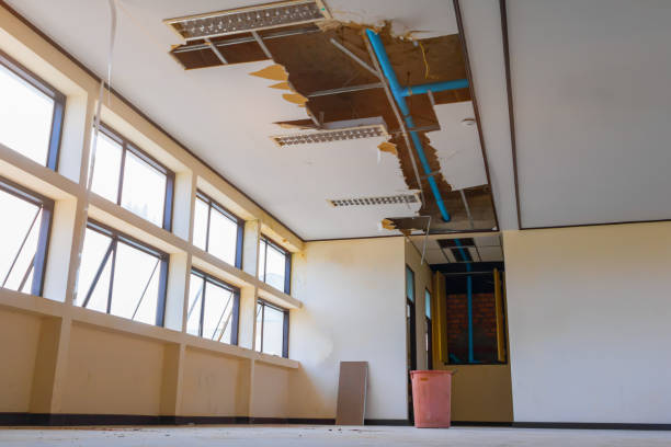 Best Water damage restoration insurance claims  in Dauphin Island, AL