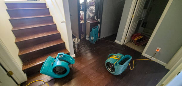 Best Flooded house restoration  in Dauphin Island, AL