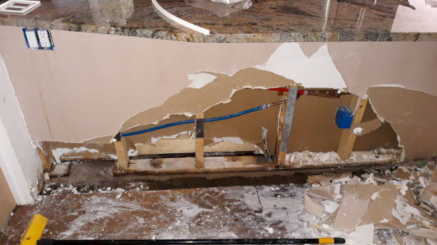 Best Basement water damage restoration  in Dauphin Island, AL