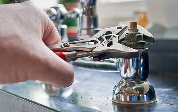 Best Flood restoration services  in Dauphin Island, AL