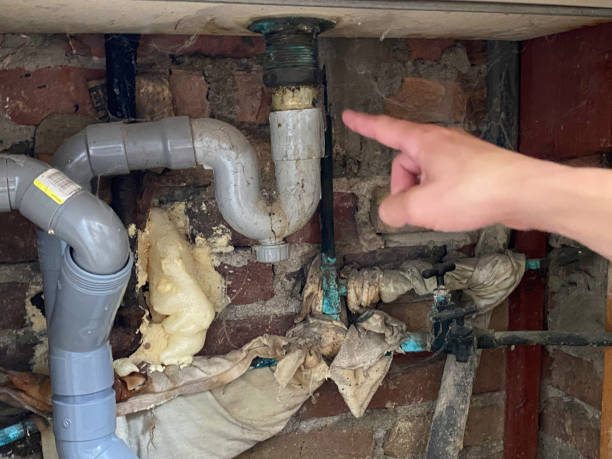 Best 24/7 water damage repair  in Dauphin Island, AL
