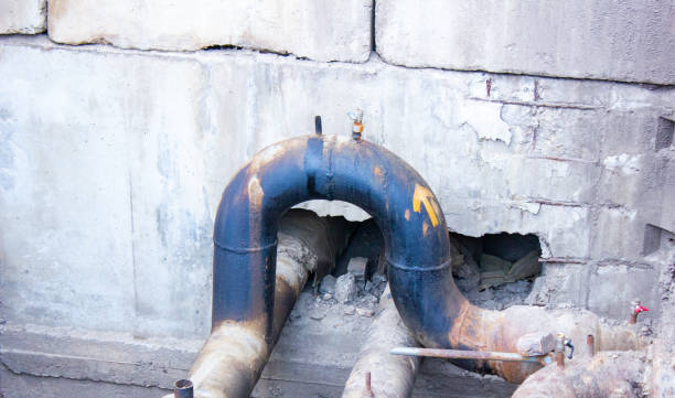 Best Sewage cleanup and water damage restoration  in Dauphin Island, AL