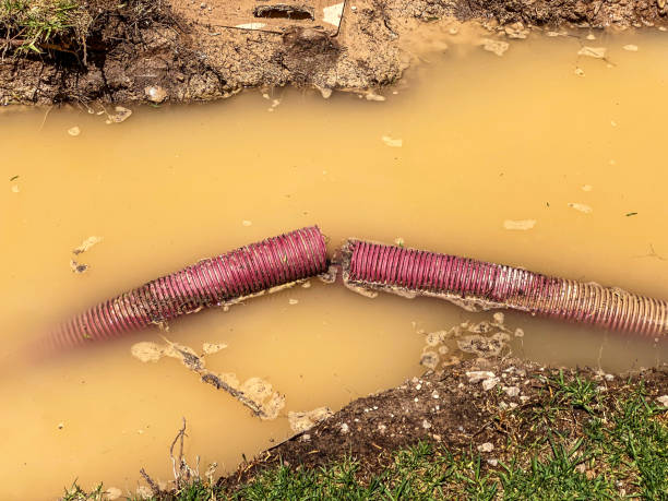 Best Water damage restoration services  in Dauphin Island, AL